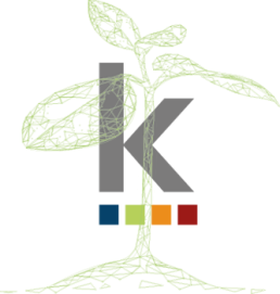 kamasys and the importance of sustainability